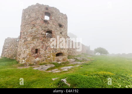 La nebbia avvolge il castello Hammershus sulla maggior parte punta nord dell'isola di Bornholm, Danimarca, Scandinavia, Europa Foto Stock