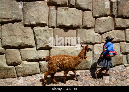 Donna con llama a piedi la parete Inca a Hathunrumiyoq Street, pietra di 12 angoli, Cuzco, UNESCO, Perù Foto Stock