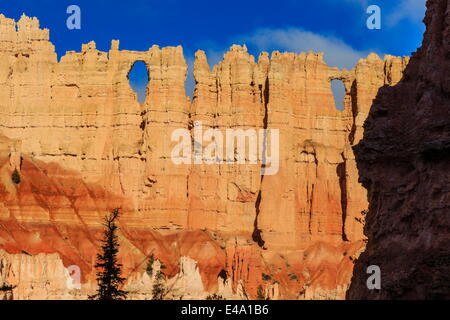 Una parete di finestre illuminate da mattina presto sun, stagliano rock, pieghevole Loop Trail, Parco Nazionale di Bryce Canyon, Utah, Stati Uniti d'America Foto Stock