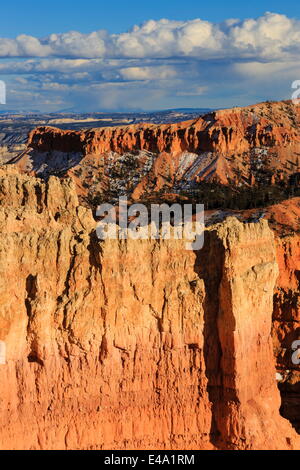 Nel tardo pomeriggio sole illumina le rocce, Rim Trail vicino al punto di tramonto, Parco Nazionale di Bryce Canyon, Utah, Stati Uniti d'America Foto Stock