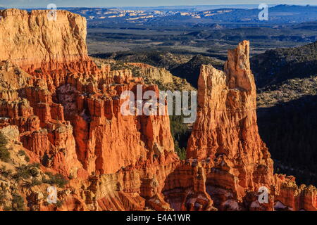 Hoodoos accesa dal tardo pomeriggio di sole con vista distante in inverno, Paria View, Parco Nazionale di Bryce Canyon, Utah, Stati Uniti d'America Foto Stock