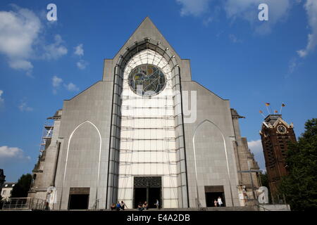 Notre Dame de la Treille cattedrale, Lille, Nord, Francia, Europa Foto Stock