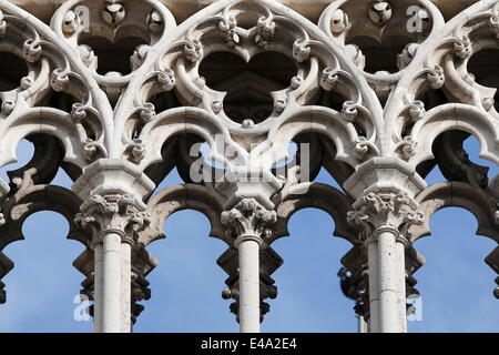 Le colonne esterne, la cattedrale di Notre Dame de Paris, Parigi, Francia, Europa Foto Stock