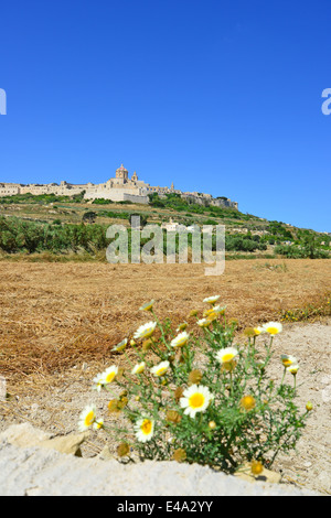 Vista del borgo medioevale di Mdina (L-Imdina), Western District, Malta Majjistral Regione, Repubblica di Malta Foto Stock