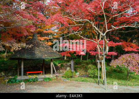 Koishikawa Korakuen Garden in autunno a Tokyo Foto Stock