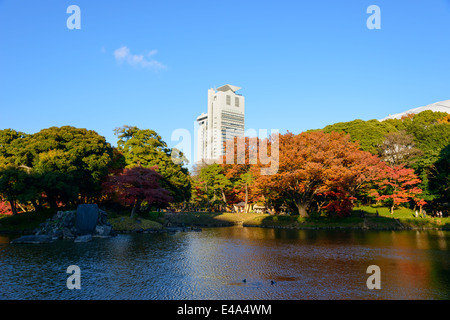 Koishikawa Korakuen Garden in autunno a Tokyo Foto Stock
