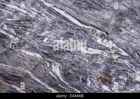 In prossimità della superficie di roccia, gneiss con il bianco ripiegato vene di quarzo a causa della potenza di geologici movimento crostale Foto Stock