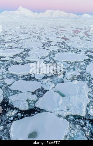 In transito attraverso il canale di Lemaire pesante nel primo anno il mare di ghiaccio in Antartide, regioni polari Foto Stock