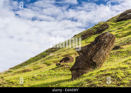 Moai sculture in varie fasi di completamento a Rano Raraku, Parco Nazionale di Rapa Nui, UNESCO, Isola di Pasqua, Cile Foto Stock