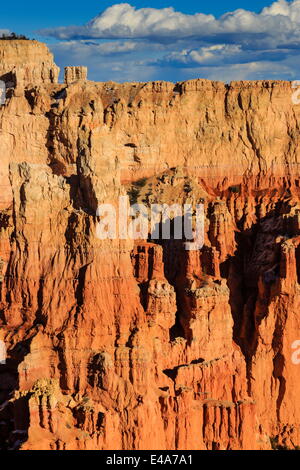 Rim scogliere e hoodoos accesa dal tardo pomeriggio di sole in inverno, Paria View, Parco Nazionale di Bryce Canyon, Utah, Stati Uniti d'America Foto Stock