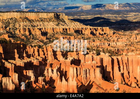 Nel tardo pomeriggio sole illumina le linee di hoodoos al tramonto punto, Parco Nazionale di Bryce Canyon, Utah, Stati Uniti d'America Foto Stock