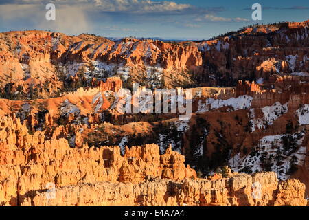 Nel tardo pomeriggio sole illumina hoodoos e scogliere in inverno vicino al punto di tramonto, Parco Nazionale di Bryce Canyon, Utah, Stati Uniti d'America Foto Stock