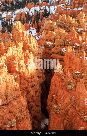 Hoodoos con neve illuminata dal tardo pomeriggio di sole, da Rim Trail vicino al punto di tramonto, Parco Nazionale di Bryce Canyon, Utah, Stati Uniti d'America Foto Stock