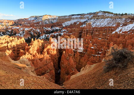 Hoodoos e scogliere con neve illuminata dal tardo pomeriggio di sole, da Rim Trail vicino al punto di tramonto, Parco Nazionale di Bryce Canyon, Utah, Stati Uniti d'America Foto Stock