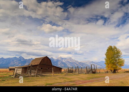 Riga mormone fienile con Teton Range in autunno (caduta), Antelope Flats, Grand Teton National Park, Wyoming USA Foto Stock