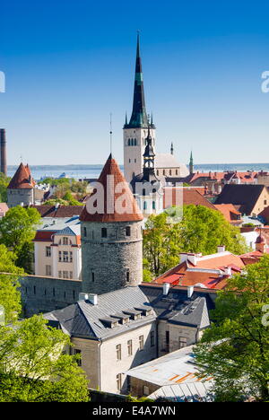 Mura medievali e guglie della chiesa di Sant'Olav, Toompea Hill, il Sito Patrimonio Mondiale dell'UNESCO, Estonia, paesi baltici, Europa Foto Stock