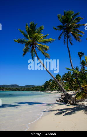 Playa Grande, Las Galeras, Semana penisola, Repubblica Dominicana, West Indies, dei Caraibi e America centrale Foto Stock