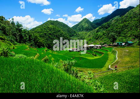 Bangaan in terrazze di riso di Banaue, Sito Patrimonio Mondiale dell'UNESCO, Northern Luzon, Filippine, Sud-est asiatico, in Asia Foto Stock