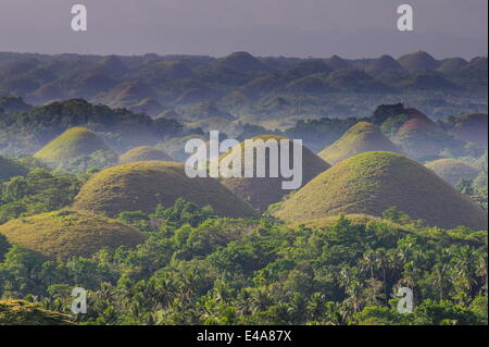 Chocolate Hills, Bohol, Filippine, Sud-est asiatico, in Asia Foto Stock