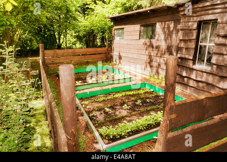 Giardino con verdure miste di patch e di recinzione slug Foto Stock