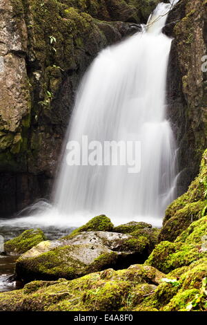 Forza Catrigg vicino Stainforth in Ribblesdale, Yorkshire Dales, nello Yorkshire, Inghilterra, Regno Unito, Europa Foto Stock