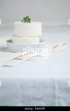 Due pezzi del bulgaro 'herders formaggio' fatta da pecora e latte di vacca guarnita con rametto di timo Foto Stock