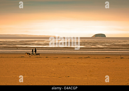 Dog walkers sulla spiaggia e l'isola di ripida Holm nel canale di Bristol da Weston-super-Mare, North Somerset, Inghilterra, Regno Unito Foto Stock