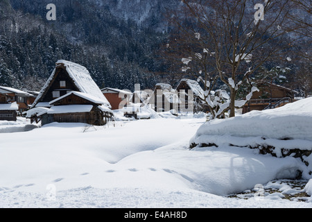 Villaggi storici di Shirakawa-go in inverno Foto Stock