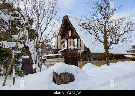 Villaggi storici di Shirakawa-go in inverno Foto Stock