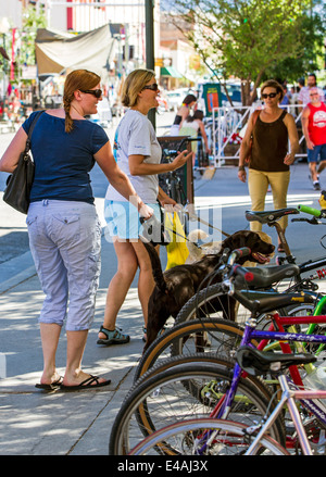 Visitatori godendo annuale di piccola città ArtWalk Festival, Salida, Colorado, STATI UNITI D'AMERICA Foto Stock