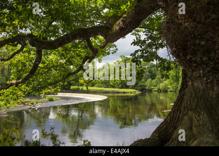 Il ferro di cavallo cade sul fiume Dee e l'inizio del Llangollen Canal vicino a Llangollen, Denbighshire, Wales, Regno Unito Foto Stock