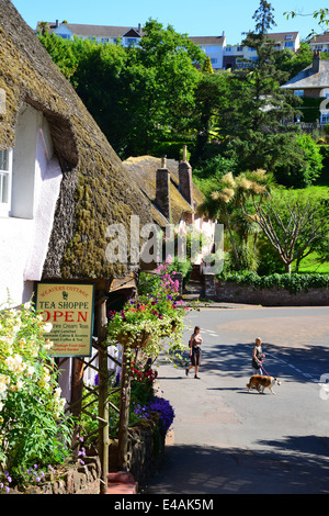 Tessitori Cottage Tea Shoppe, Cockington Village, Torquay. Devon, Inghilterra, Regno Unito Foto Stock