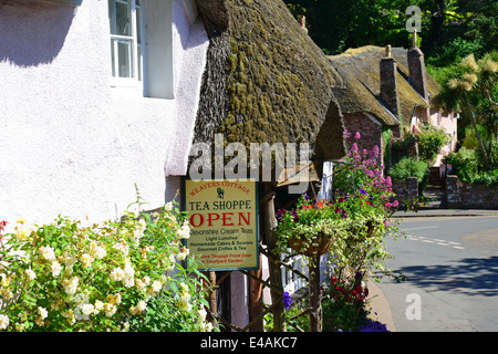 Tessitori Cottage Tea Shoppe, Cockington Village, Torquay. Devon, Inghilterra, Regno Unito Foto Stock