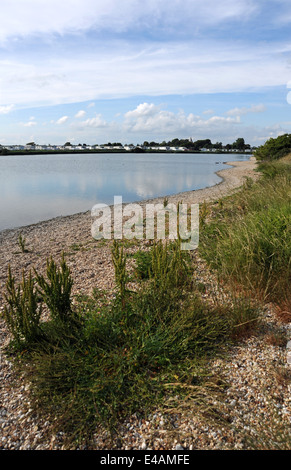 Pagham Harbour e la laguna riserva naturale nelle vicinanze del Chichester West Sussex Regno Unito Foto Stock