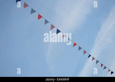 Bunting contro un Cielo di estate blu Foto Stock