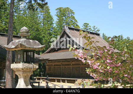 Parte della IAM Garan complesso Koyasan in Giappone Foto Stock