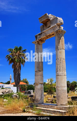 Presso il sito archeologico di Antica Agora, la città di Kos, isola di Kos, Dodecanneso, Mar Egeo, Grecia. Foto Stock