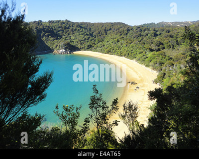 Spiaggia deserta nel Parco Nazionale Abel Tasman, Nuova Zelanda Foto Stock