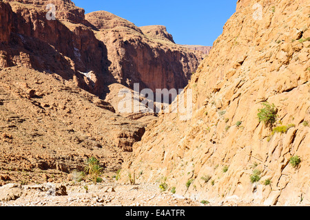 Aspetti della gola Todgha,strada asfaltata,hotels,escursioni,i venditori di tappeti,Fiume,4 ruote motrici,gli escursionisti, gli alpinisti,ripide scogliere,Marocco Foto Stock