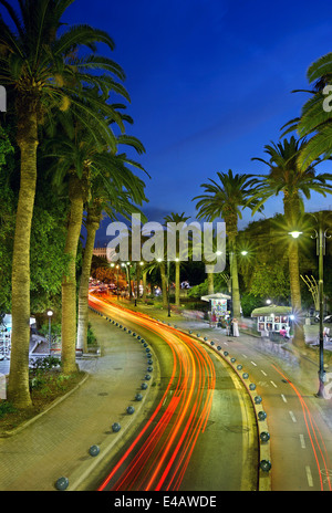 Gli alberi di palma Avenue, la città di Kos, isola di Kos, Dodecanneso, Mar Egeo, Grecia. Foto Stock