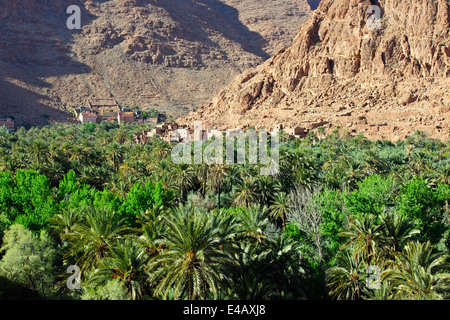 Ait quaritane,tinerhir sul wadi,fiume todra,route 703 vicino a todra gorge,sud del Marocco Foto Stock