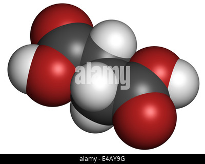 Acido succinico (acido butandioico, spirito di ambra molecola). Intermedio del ciclo dell'acido citrico. Foto Stock