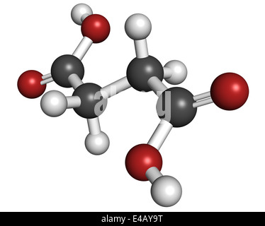 Acido succinico (acido butandioico, spirito di ambra molecola). Intermedio del ciclo dell'acido citrico. Foto Stock