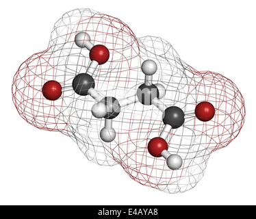 Acido succinico (acido butandioico, spirito di ambra molecola). Intermedio del ciclo dell'acido citrico. Foto Stock