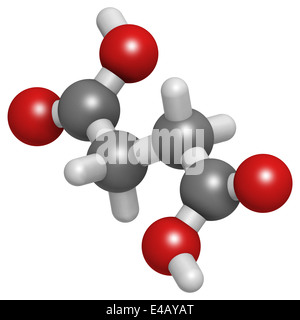 Acido succinico (acido butandioico, spirito di ambra molecola). Intermedio del ciclo dell'acido citrico. Foto Stock