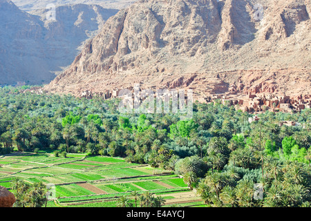 Ait quaritane,tinerhir sul wadi,fiume todra,route 703 vicino a todra gorge,sud del Marocco Foto Stock