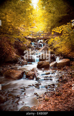 Little Creek galleggianti intorno rocce di muschio, una piccola cascata Foto Stock