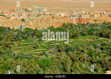 Ait Quaritane,Tinerhir sul wadi,Fiume Todra,Route 703 vicino a Todra Gorge,Sud del Marocco Foto Stock