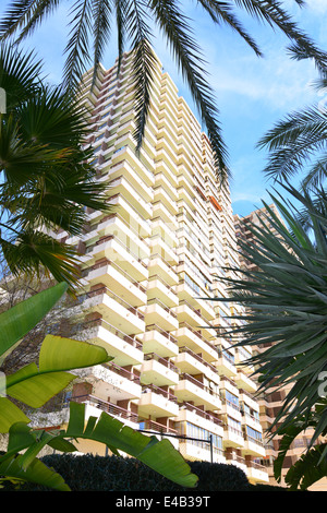 Sol Pelicanos Ocas Hotel, calle Gerona, Benidorm, Costa Blanca, Alicante provincia,Spagna Foto Stock