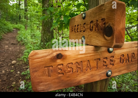 Sentiero in legno marcatore sulla Appalachian Trail a Neels Gap in Blairsville, Georgia, Stati Uniti d'America. Foto Stock